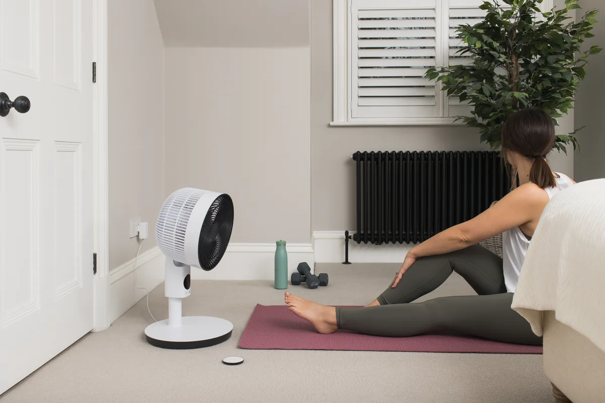MeacoFan Sefte 10-inch pedestal fan at full height in a living room