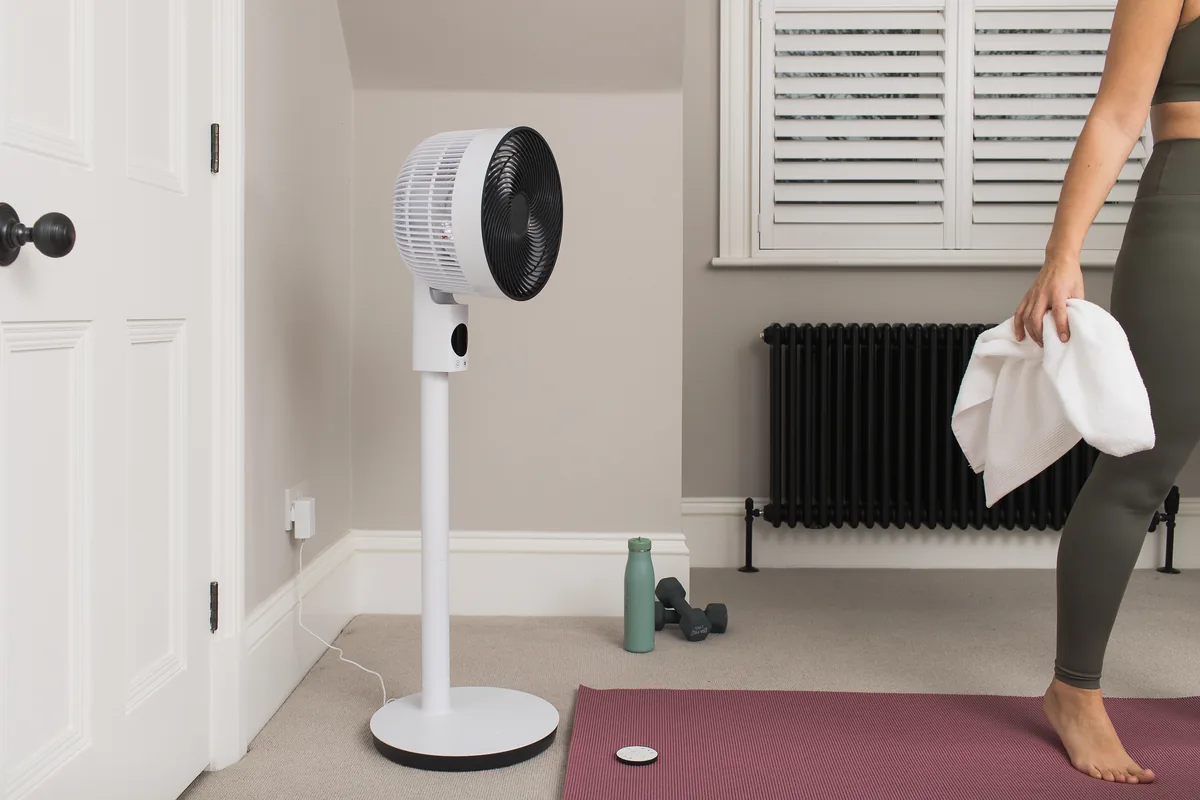 MeacoFan Sefte 10-inch pedestal fan standing beside a desk in a home office